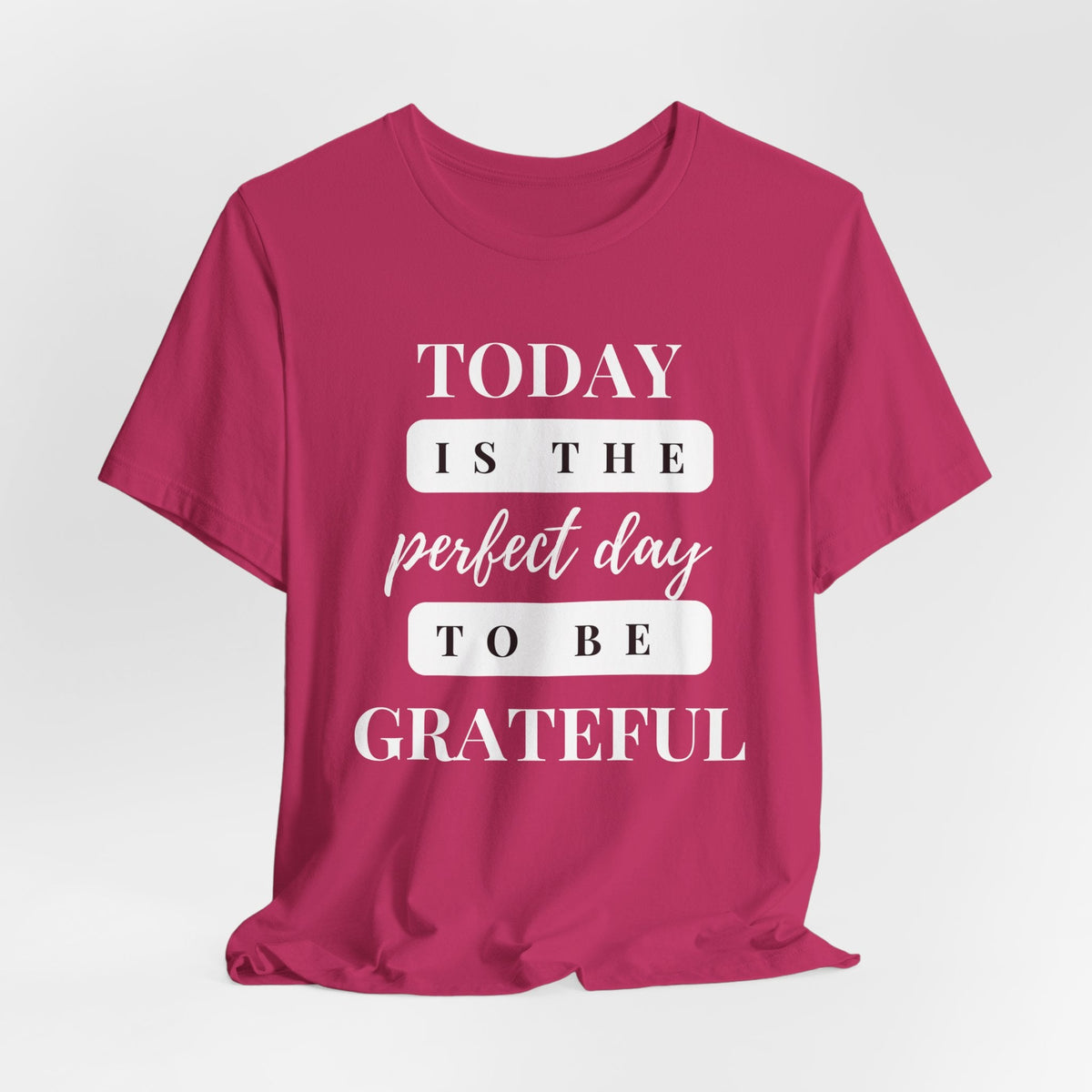 Perfect Day to be Grateful Inspirational Christian T-Shirt
