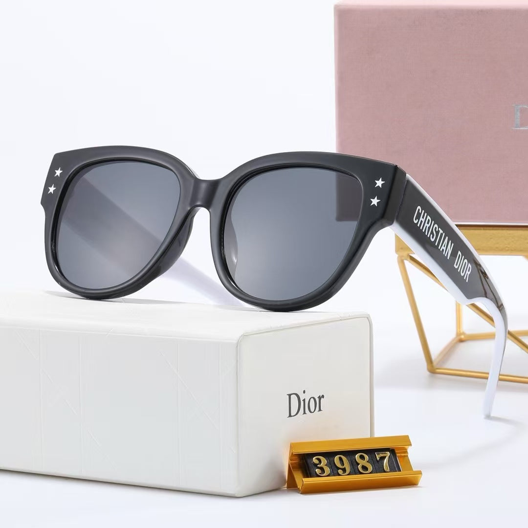 Leisure sunglasses 12