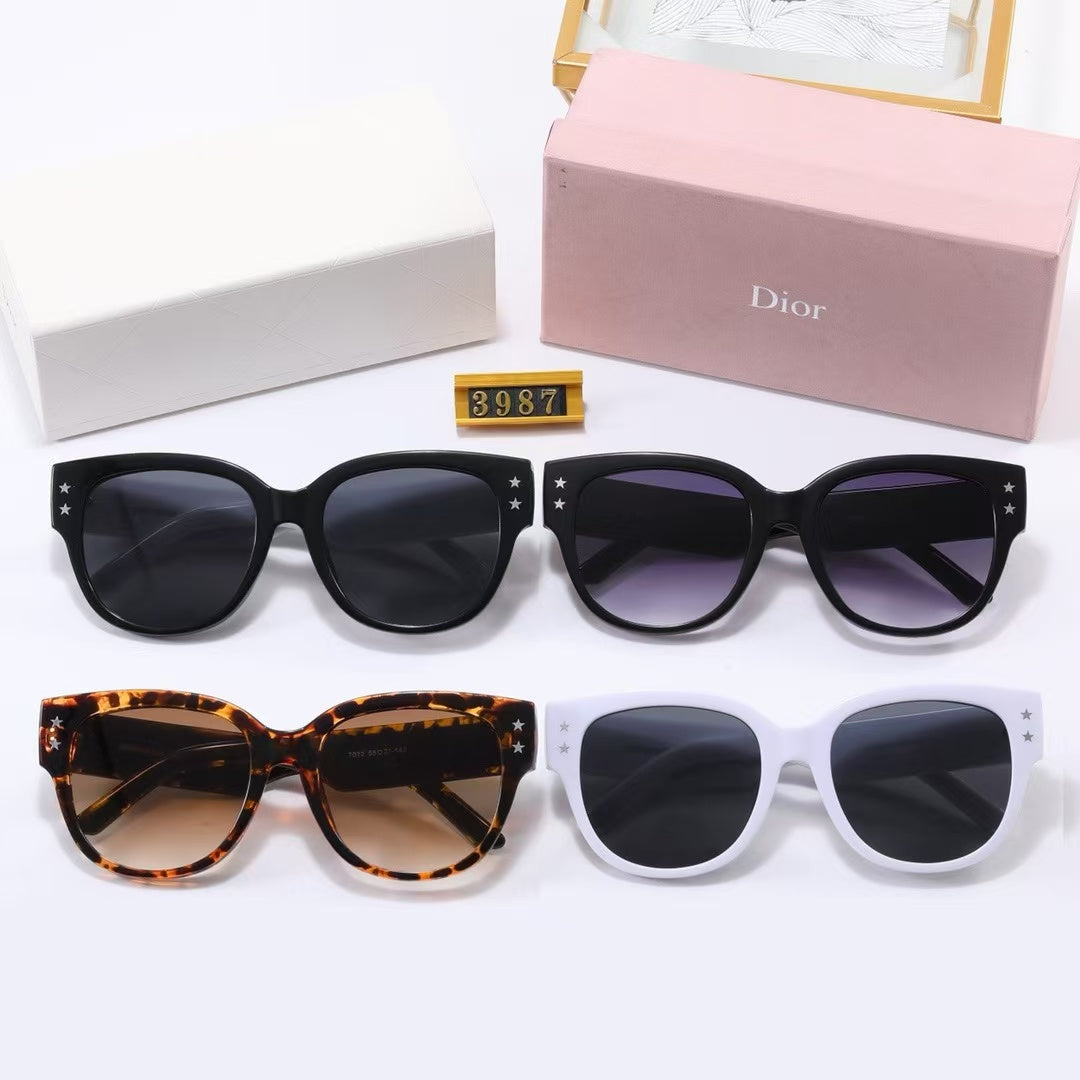 Leisure sunglasses 12