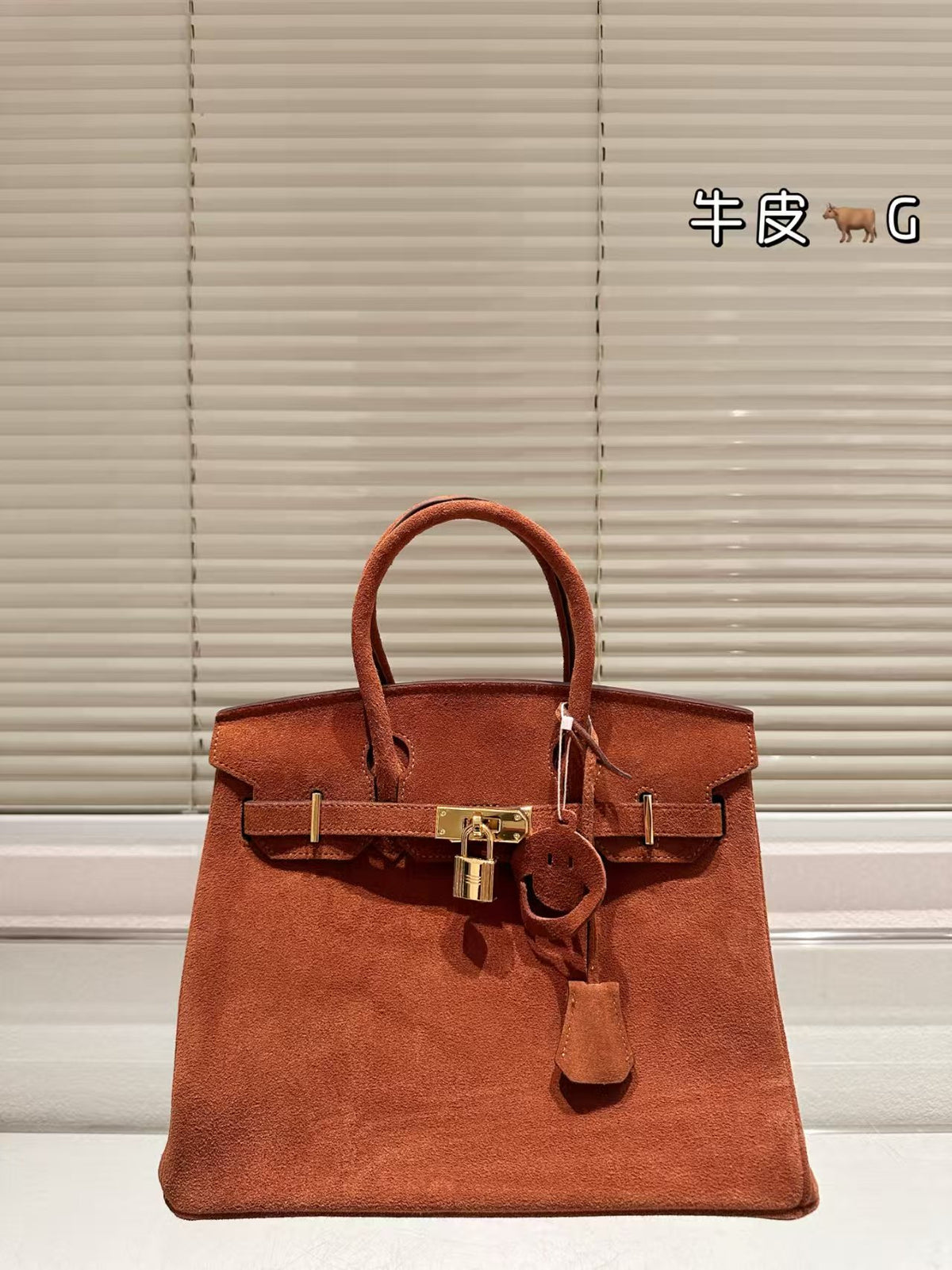 Classic women's bag