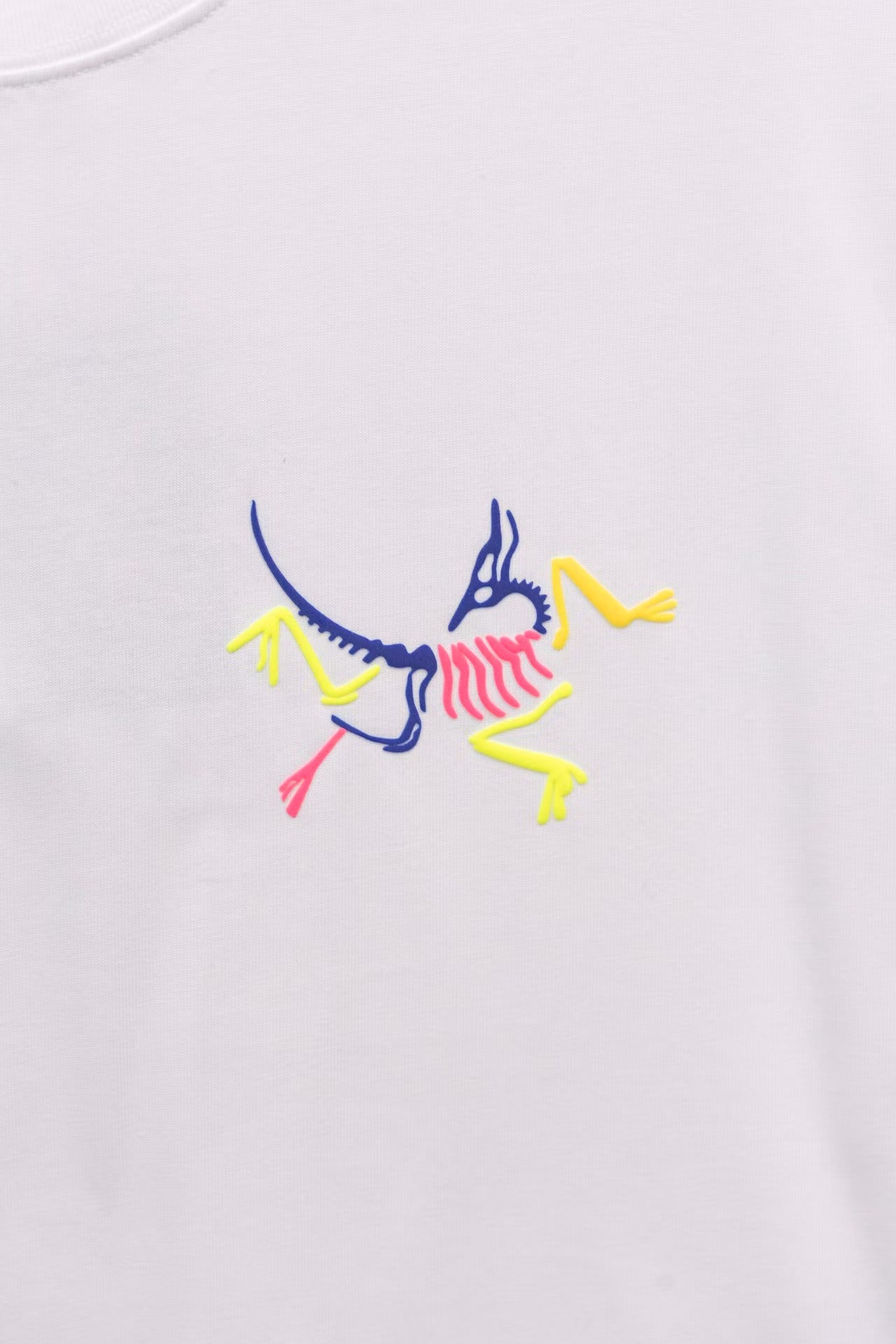 Special Offer Short Sleeve