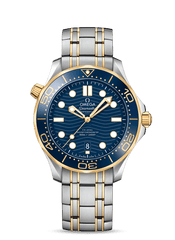 Blue Gold Steel - 904L Steel - Automatic - 42mm